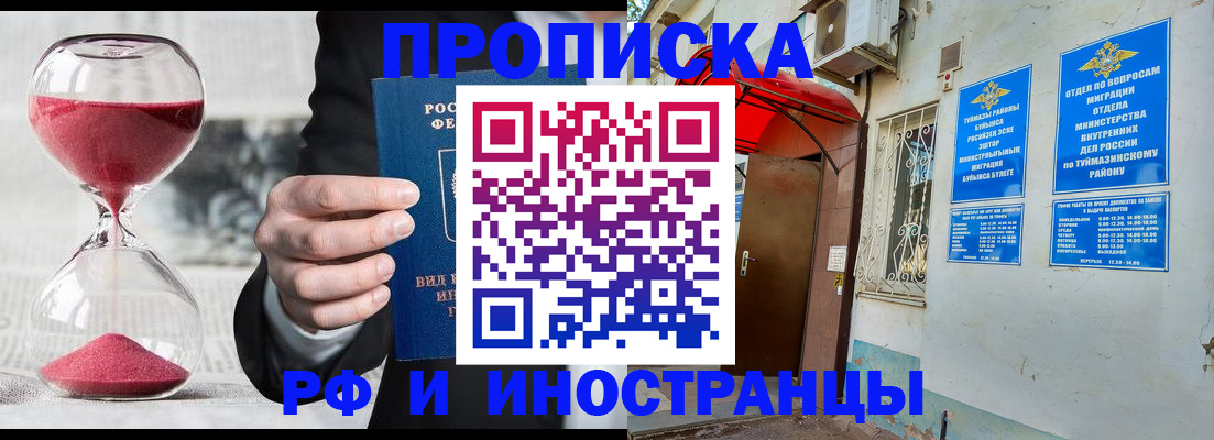 прописка 2025 в Волосово